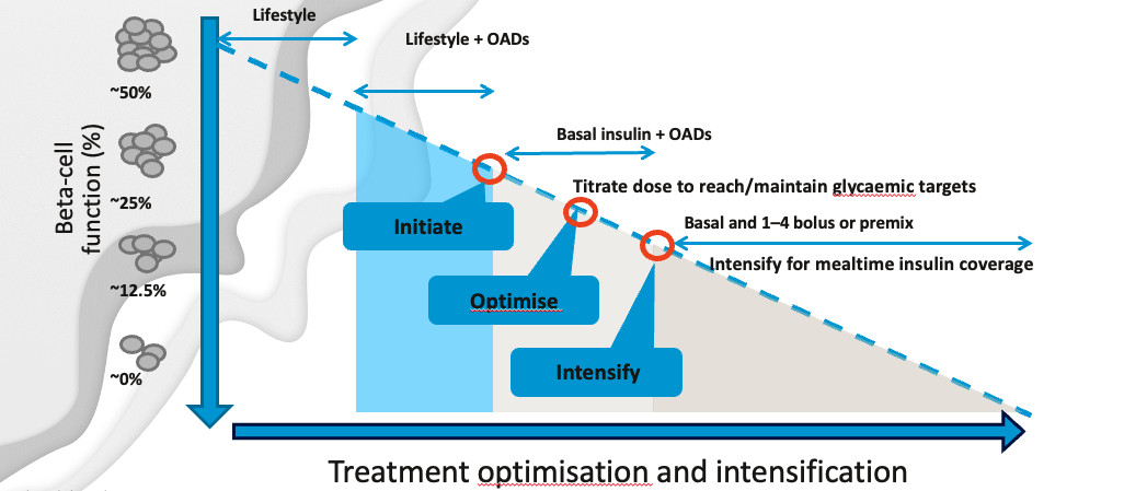 Webinar 2 Insulin