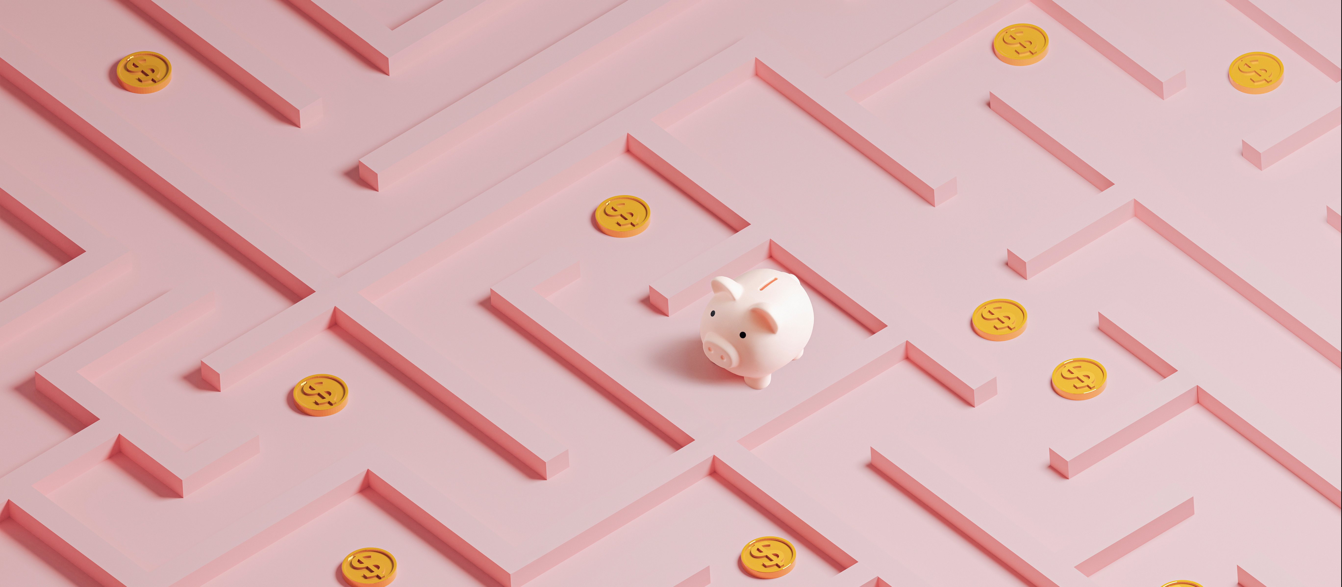 Piggy in a maze_Finding money