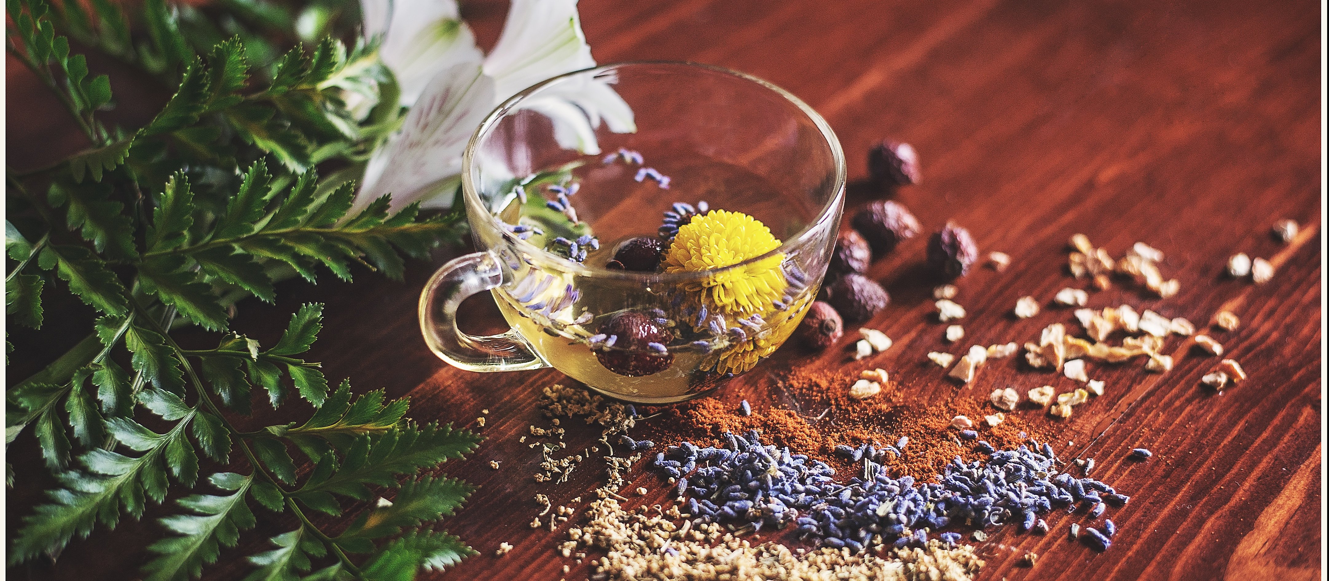 Image shows a clear glass cup of herbal tea, with flowers inside, on a wooden table strewn with herbs, leaves, and seeds