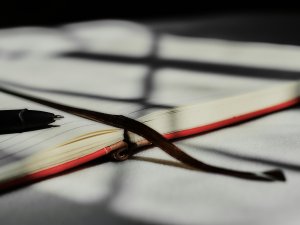 Diary Emmanuel Ikwuegbu on Unsplash